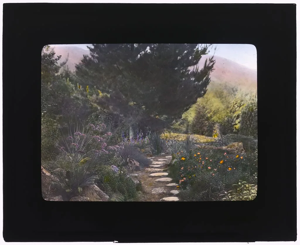 [William Alexander Spinks, Jr., ranch, Foothill Boulevard, Duarte,…, Duarte, California, 1917