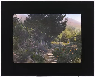 [William Alexander Spinks, Jr., ranch, Foothill Boulevard, Duarte,…, Duarte, California, 1917