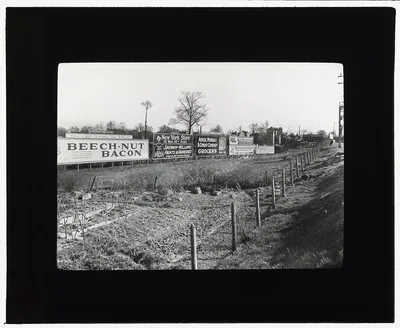 [Willliamsbridge looking towards Gun Hill Road, Bronx, New York.…, 1907