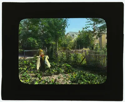 [National Cash Register Company, Dayton, Ohio. Worker vegetable…, Ohio, Dayton, 1905