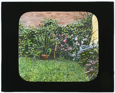 [National Cash Register Company, Dayton, Ohio. Worker garden], Ohio, Dayton, 1905
