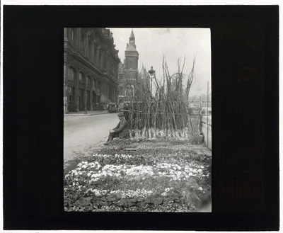 [Flower market, Quai de la Cité, Paris, France], France, Paris, 1925