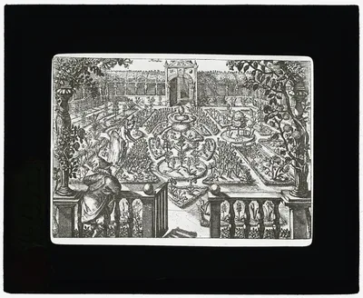 Reproduction of print showing a flower garden], 1915