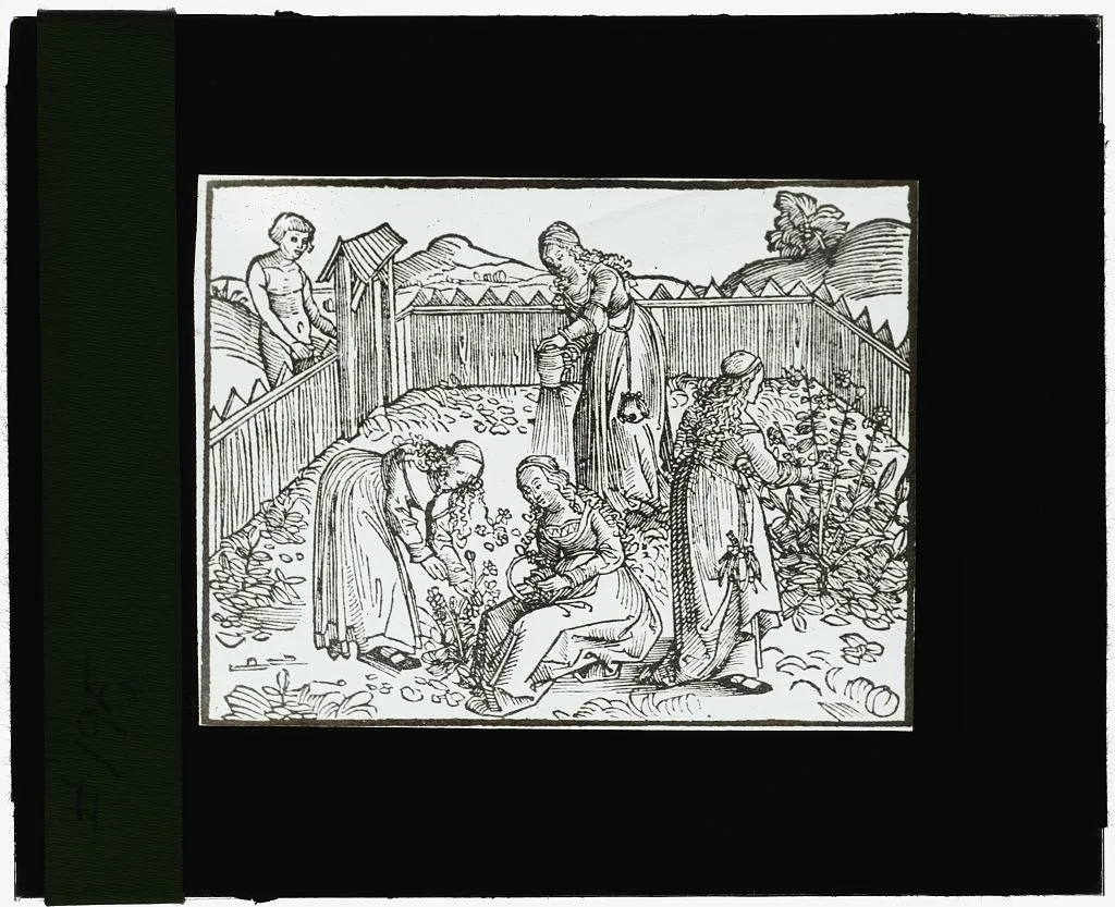 [Reproduction of print showing women in a garden], 1915