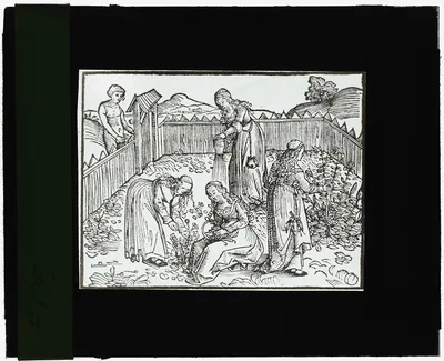 [Reproduction of print showing women in a garden], 1915
