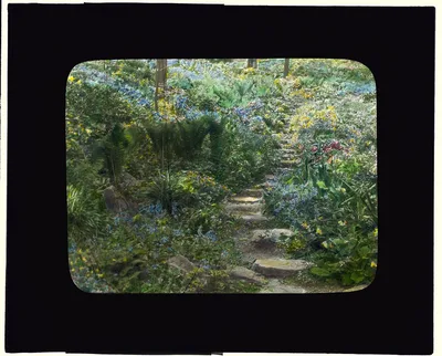 [Unidentified house. Stone pathway], 1910
