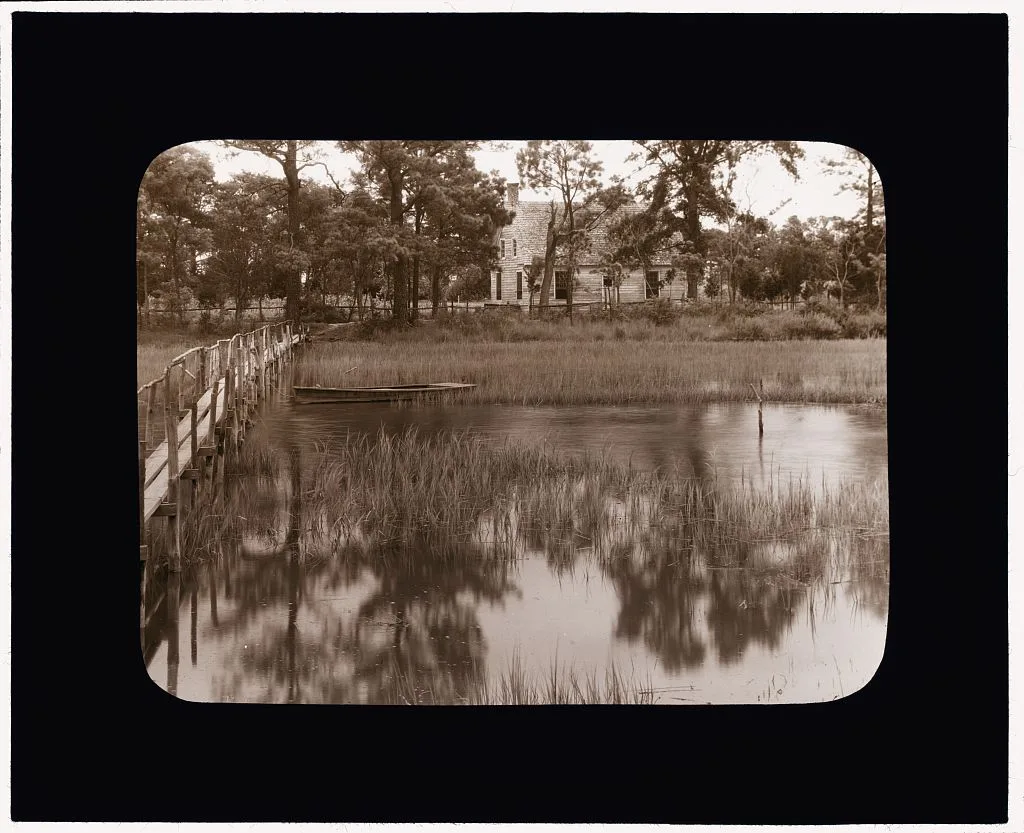 [Brownsville marsh, Nassawadox, Northampton County, Virginia], 1930