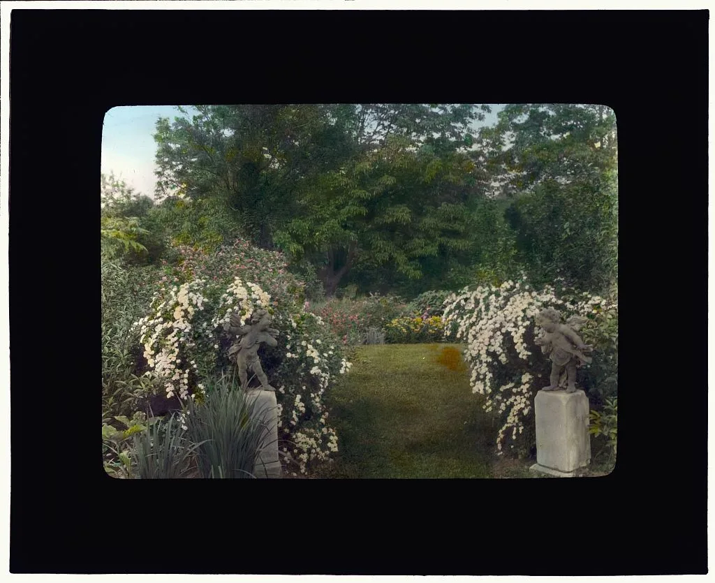 [Graham Nichols house, Greenwich, Connecticut. Spirea borders], 1917