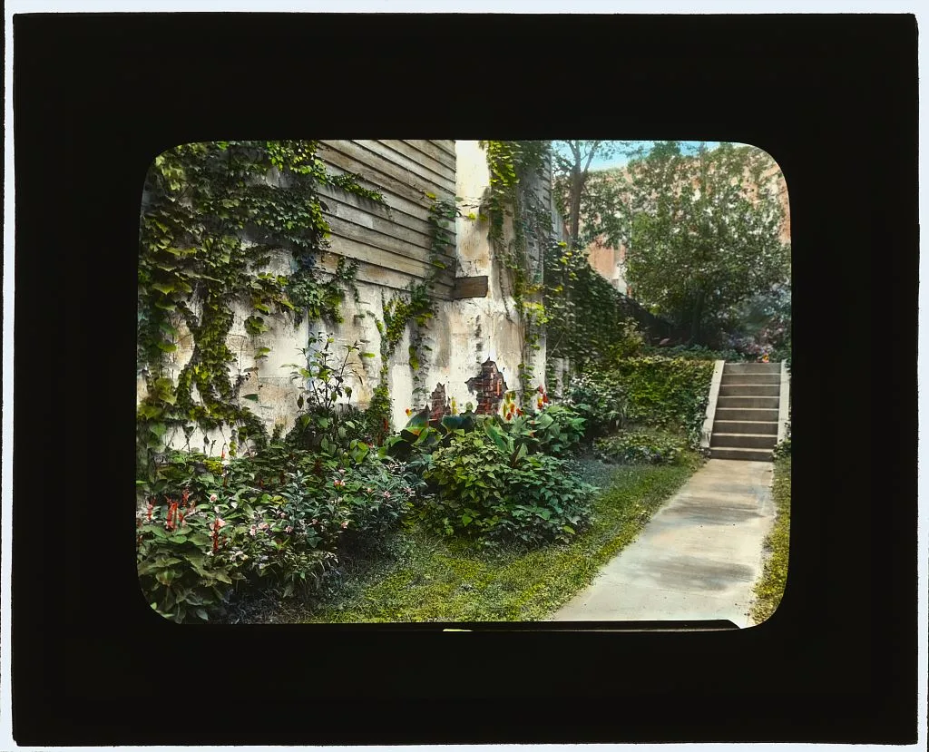 [Unidentified city garden, probably New York, New York. Steps], 1922