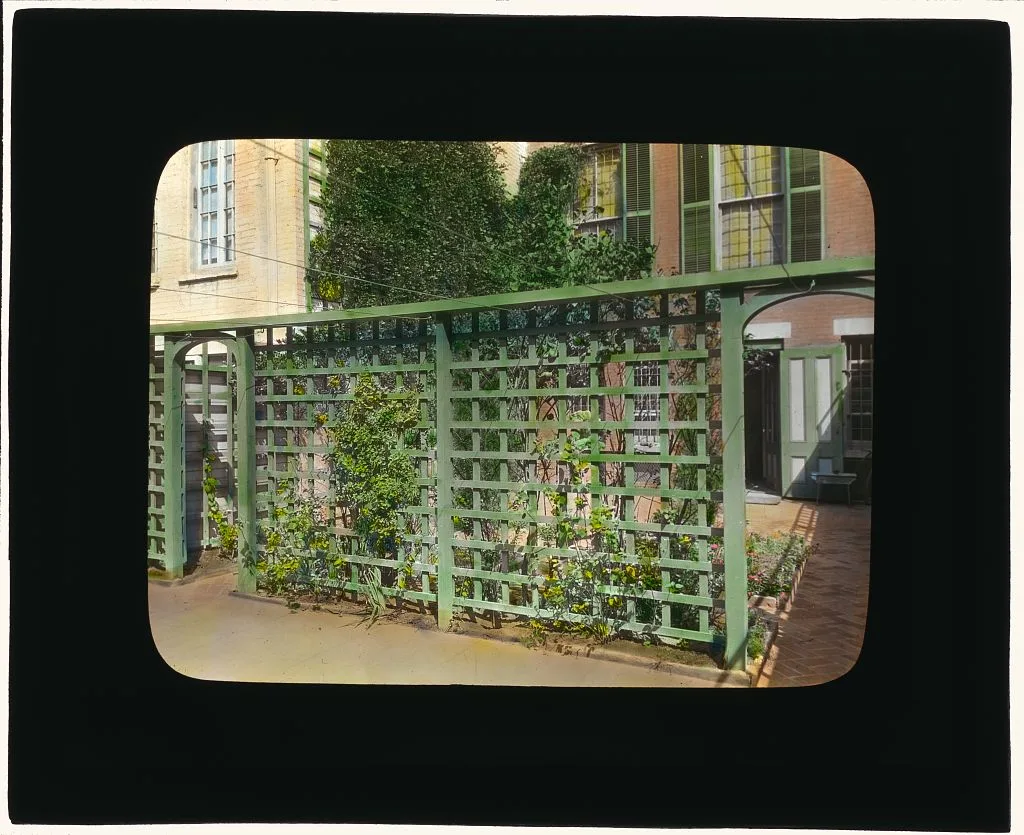 [Unidentified townhouse garden, probably in New York, New York.…, 1922
