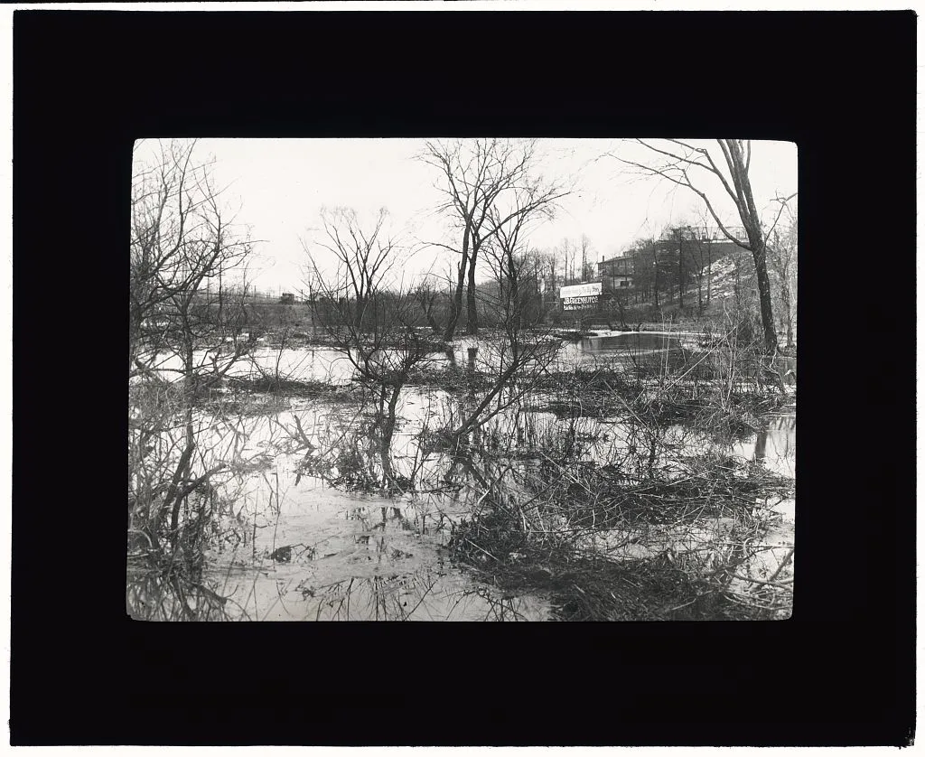 "Before" at Wakefield, New York City, throug[h] driveway was built, 1907