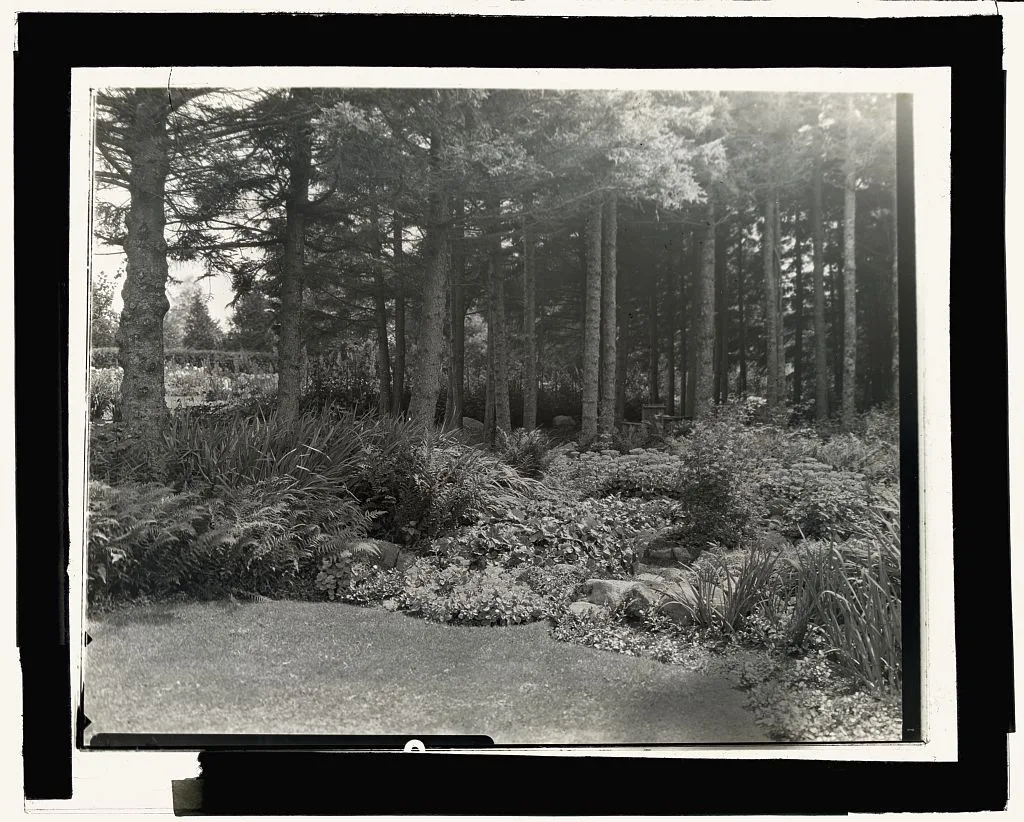 ["Thornewood," Chester Thorne house, Lakewood, Washington. Chairs in…, Washington, Lakewood, 1923