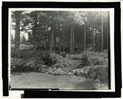 ["Thornewood," Chester Thorne house, Lakewood, Washington. Chairs in…, Washington, Lakewood, 1923