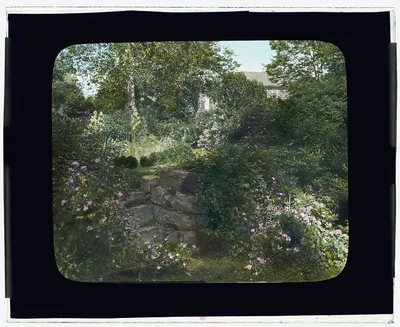 [Unidentified shingle house. Garden with stone steps], 1915