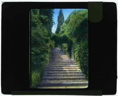 [Botanical Garden, Isola Madre, Lake Maggiore, Piedmont, Italy.…, 1925