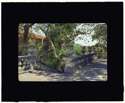 [Villa Lante, Bagnaia, Lazio, Italy. Stairway], Italy, Bagnaia, 1925