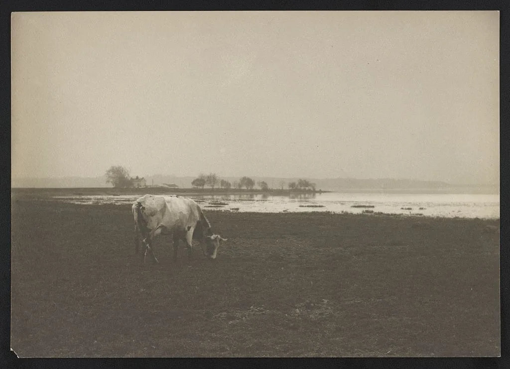 Potomac River from below Alexandria, Virginia, 1895