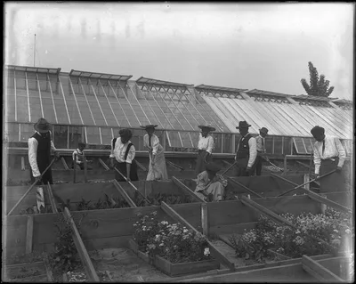 Photograph from 1906: [Students taking care of flowers in beds near…